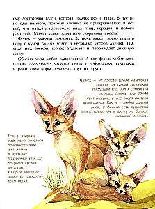 Tiere im Miniformat. Wer ist der Kleinste auf der Welt?