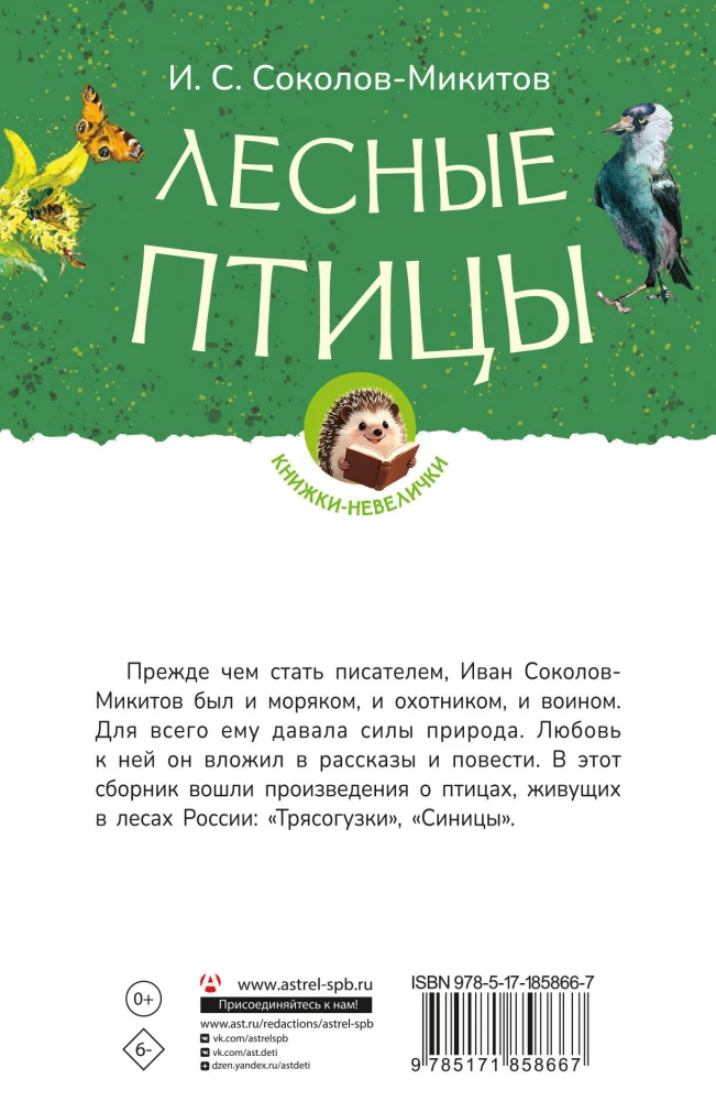 Leśne ptaki