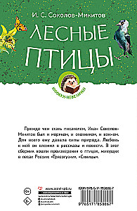 Leśne ptaki