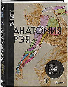 Анатомия Рэя. Большое руководство по рисунку для художников