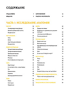 Анатомия Рэя. Большое руководство по рисунку для художников