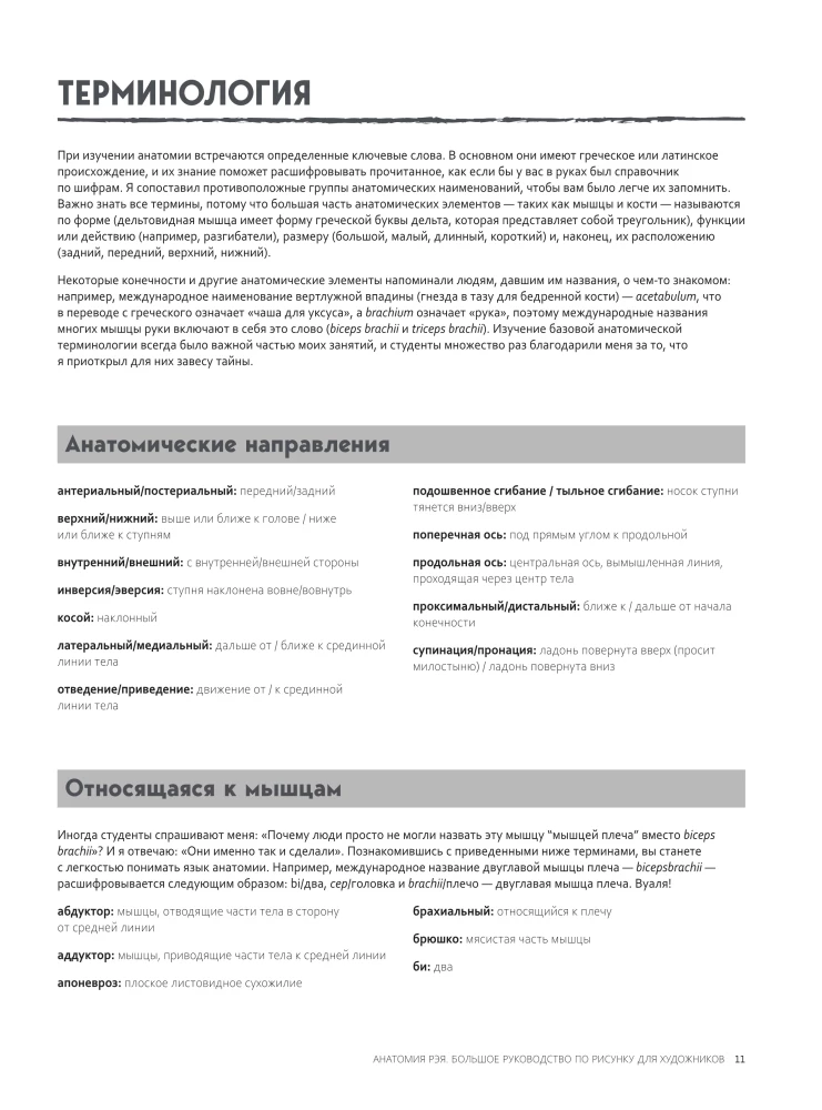 Анатомия Рэя. Большое руководство по рисунку для художников