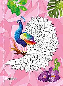 Birds and the Underwater World