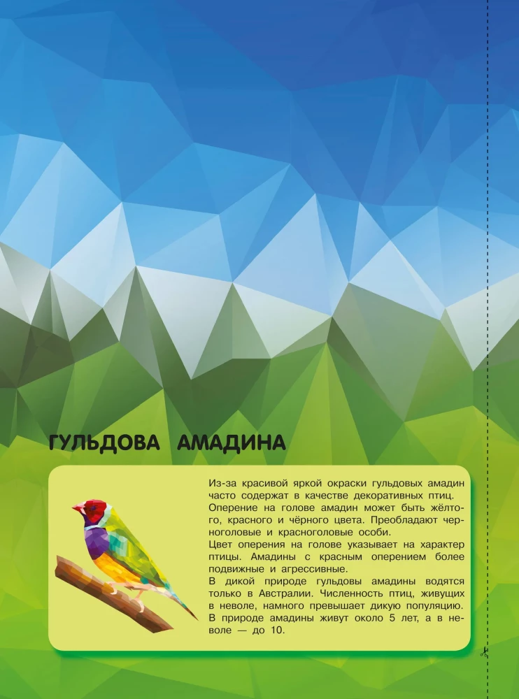 Birds and the Underwater World