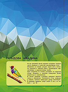 Birds and the Underwater World