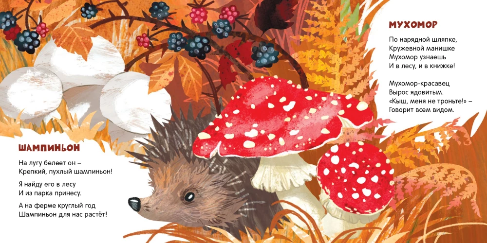 Mushrooms