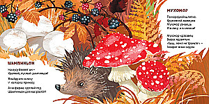 Mushrooms