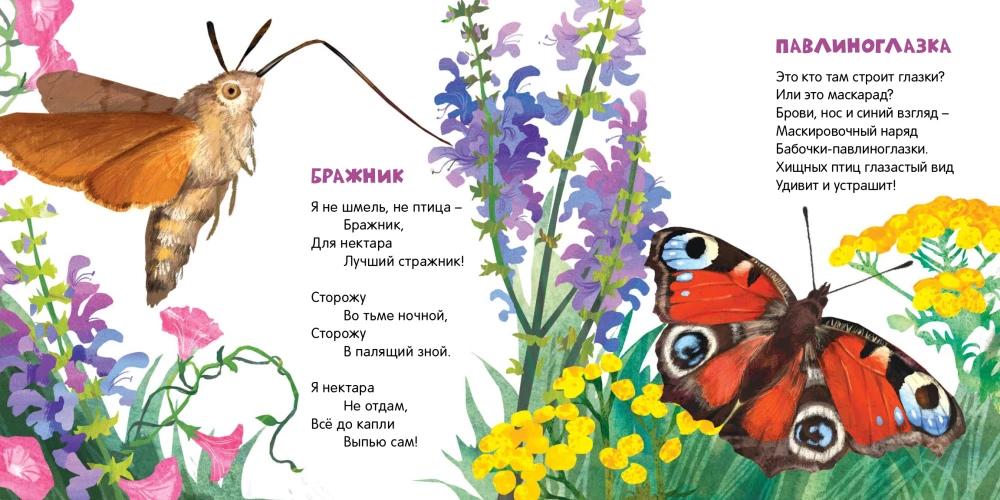 Butterflies