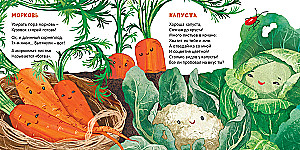 Köögiviljad