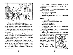 Vovka, Senka and Beetles. The Diary of the Older Brother
