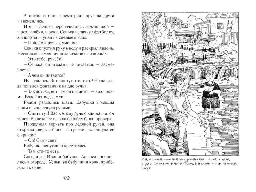 Vovka, Senka and Beetles. The Diary of the Older Brother