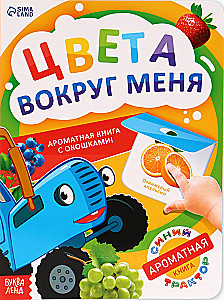 Värvid minu ümber