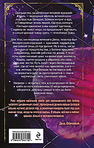 Das Buch der Spinne