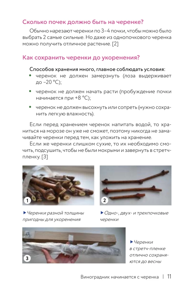 Grapes. The Path of the Vine. Cheat Sheet-Tracker: from Cutting to Bunch