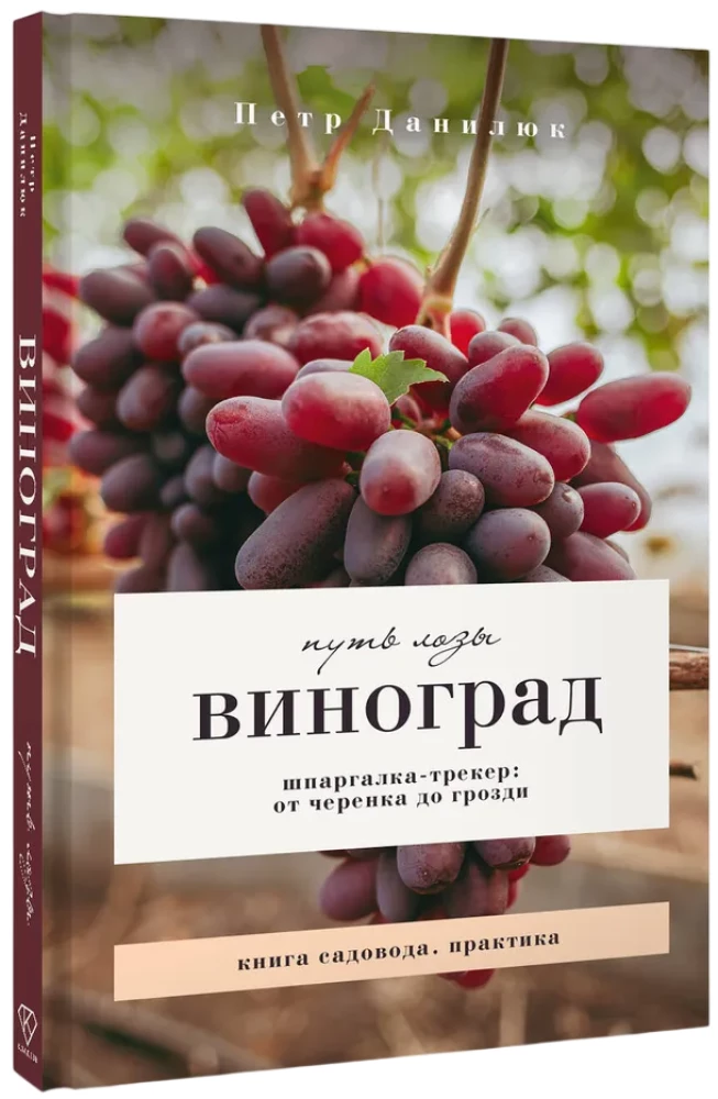 Grapes. The Path of the Vine. Cheat Sheet-Tracker: from Cutting to Bunch