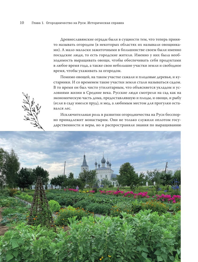 Modern Vegetable Garden. Beauty and Benefits. Styles, Techniques, Unconventional Solutions