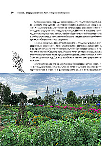 Modern Vegetable Garden. Beauty and Benefits. Styles, Techniques, Unconventional Solutions