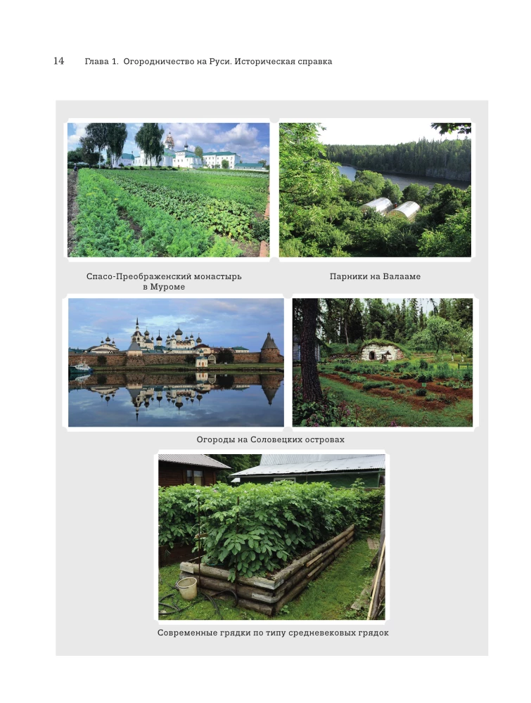 Modern Vegetable Garden. Beauty and Benefits. Styles, Techniques, Unconventional Solutions