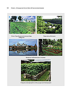 Modern Vegetable Garden. Beauty and Benefits. Styles, Techniques, Unconventional Solutions