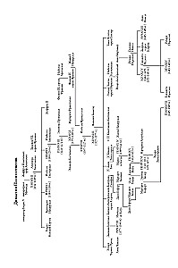Unruly: The History of English Kings and Queens