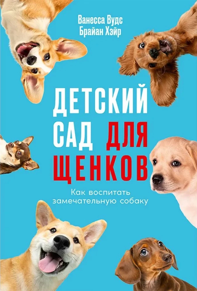 Детский сад для щенков: Как воспитать замечательную собаку