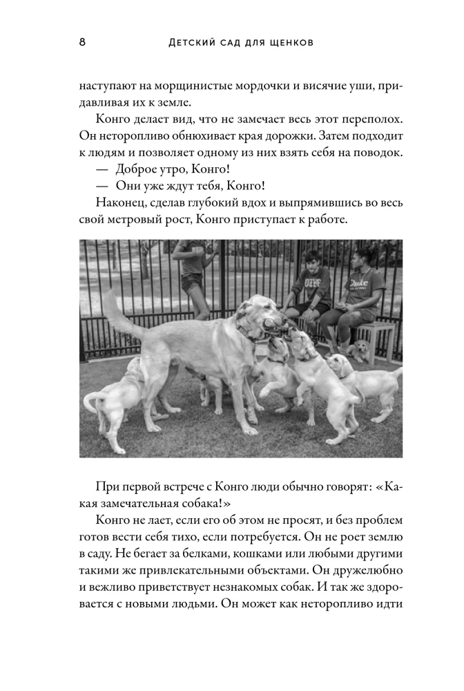 Детский сад для щенков: Как воспитать замечательную собаку