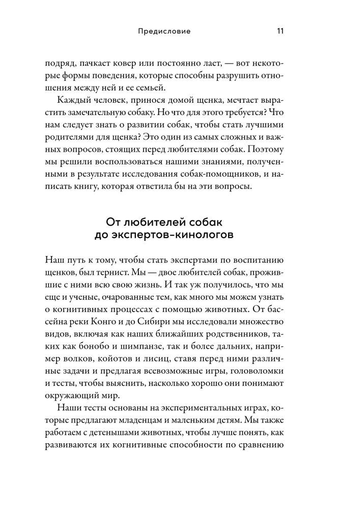 Детский сад для щенков: Как воспитать замечательную собаку