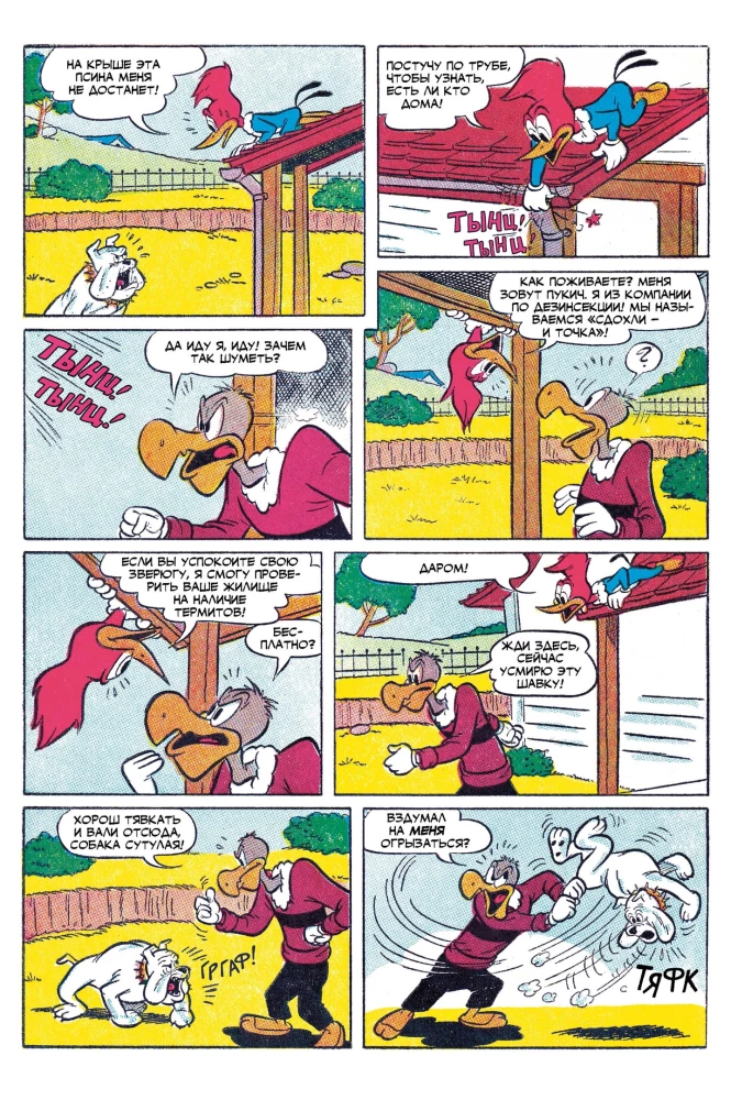 Der Specht Woody und seine Freunde. Wieder zur Schule