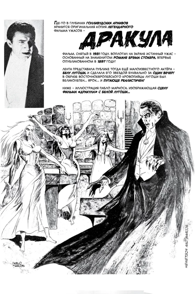 Das Dracula-Stamm