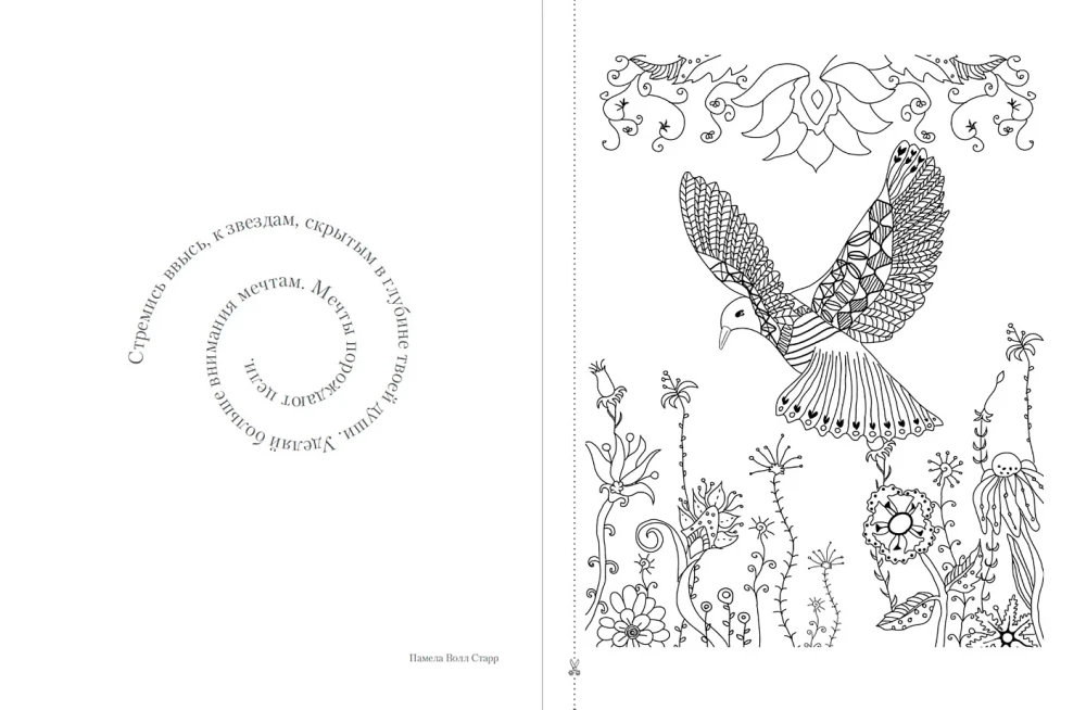 Wings of Dreams: A Meditative Coloring Book for Relaxation and Inspiration
