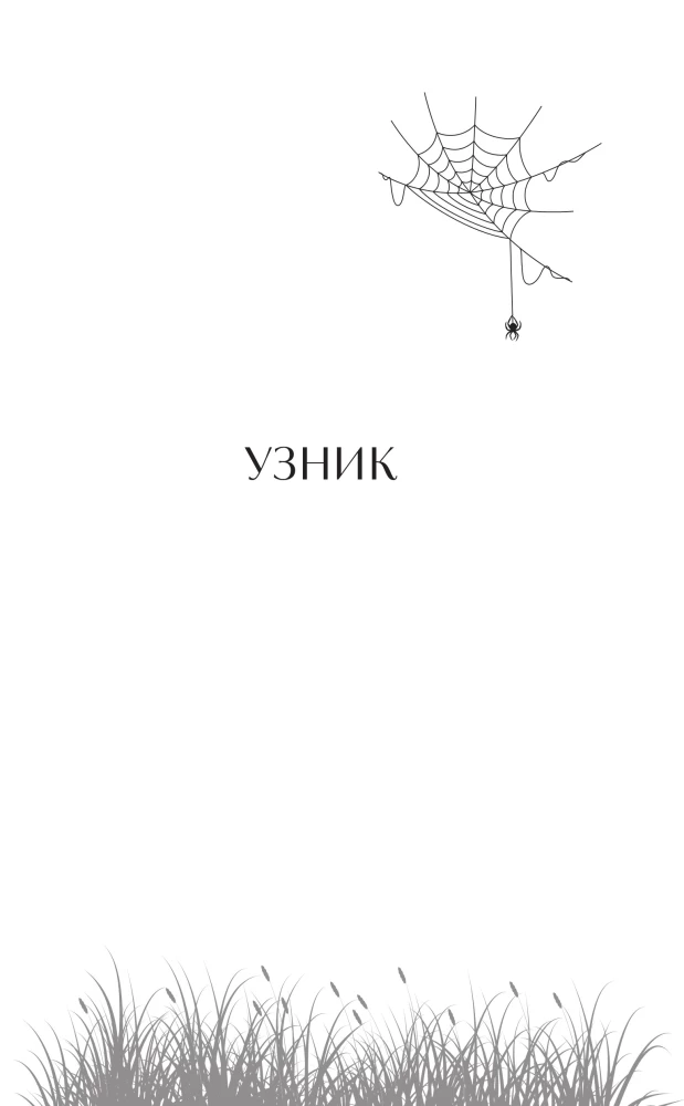 Ведьмины тропы