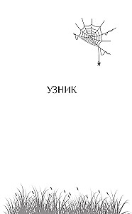 Ведьмины тропы