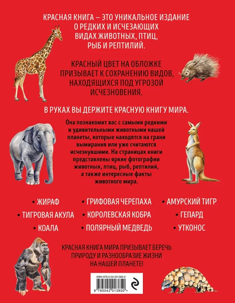 Czerwona księga świata. Duży format. Ponad 500 unikalnych ilustracji i faktów