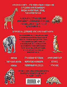 Czerwona księga świata. Duży format. Ponad 500 unikalnych ilustracji i faktów