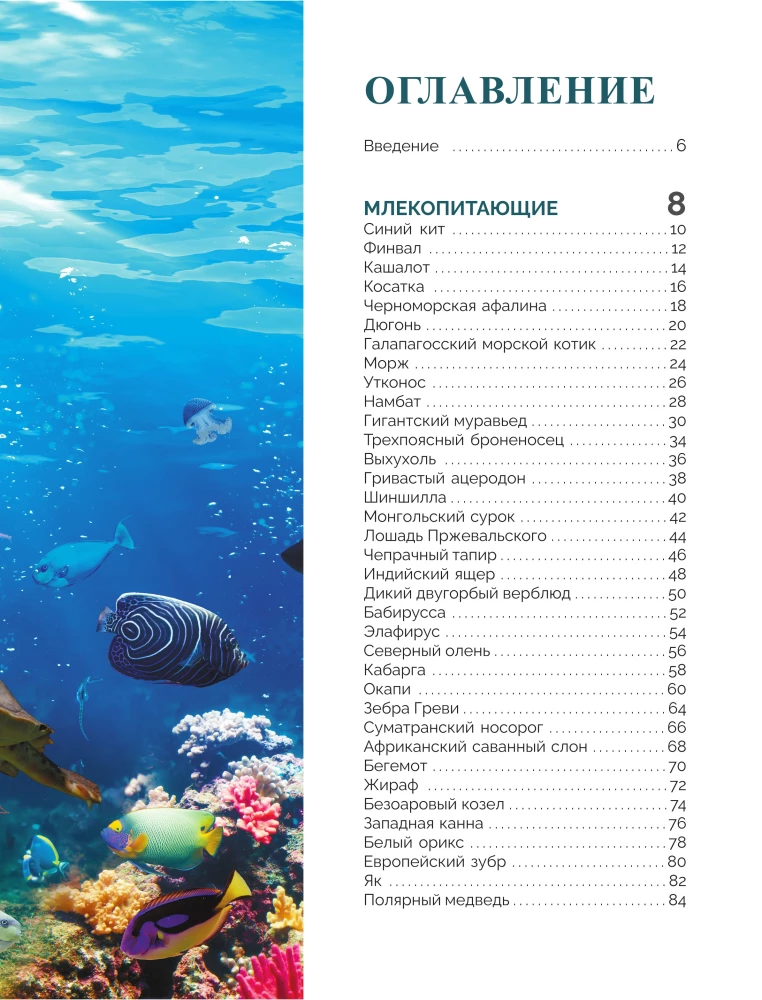 Czerwona księga świata. Duży format. Ponad 500 unikalnych ilustracji i faktów