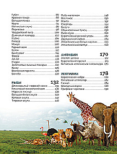 Czerwona księga świata. Duży format. Ponad 500 unikalnych ilustracji i faktów
