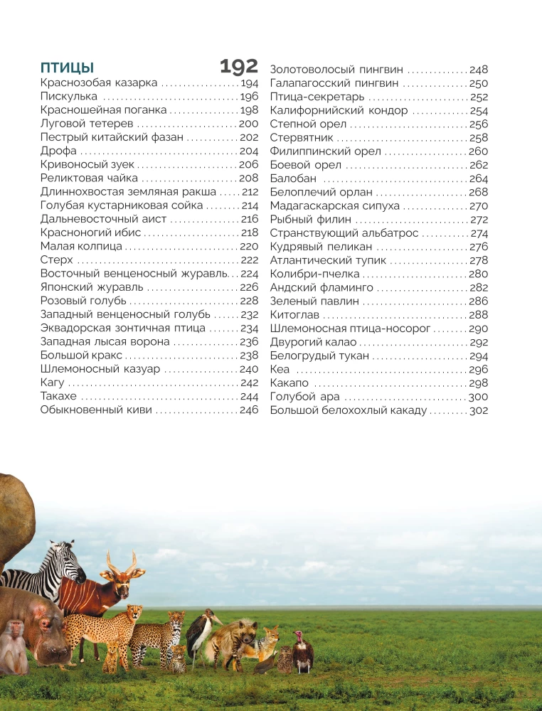 Czerwona księga świata. Duży format. Ponad 500 unikalnych ilustracji i faktów