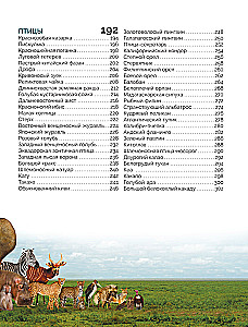 Czerwona księga świata. Duży format. Ponad 500 unikalnych ilustracji i faktów