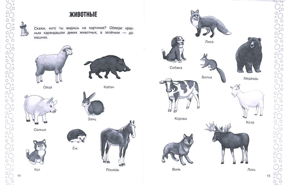 The Surrounding World. Workbook for Kindergarten