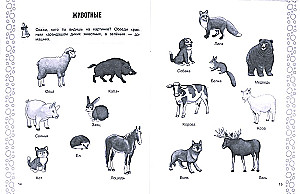 The Surrounding World. Workbook for Kindergarten