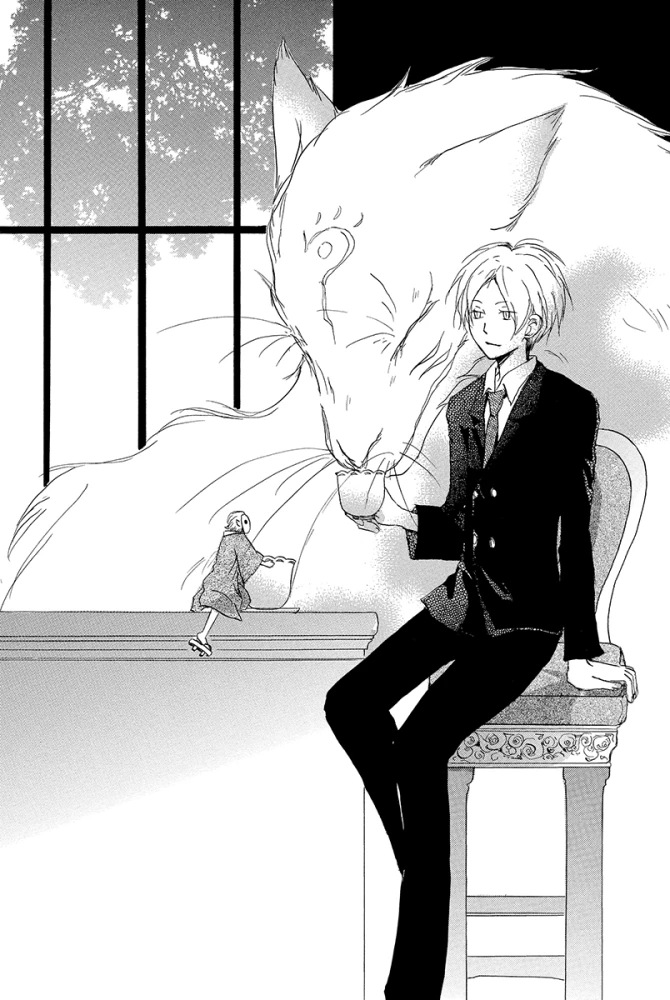 Freundschaftsnotizbuch von Natsume. Band 7