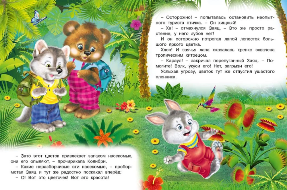 Fairy Tale Jungle