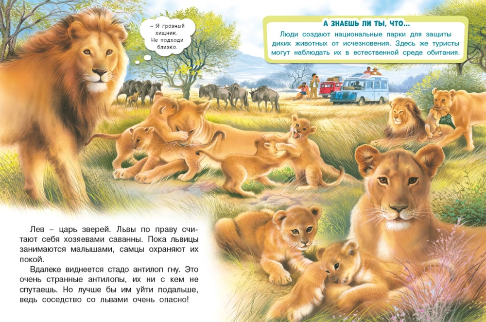 Safari in Africa