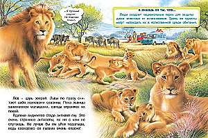 Safari in Africa