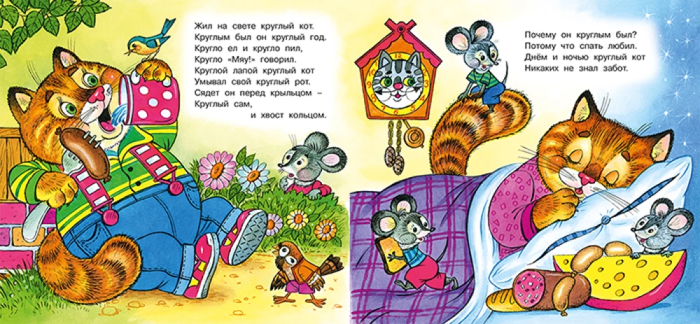 Круглый кот