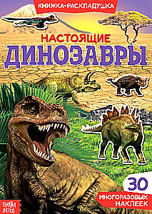 For Boys (Set of 4 Books)