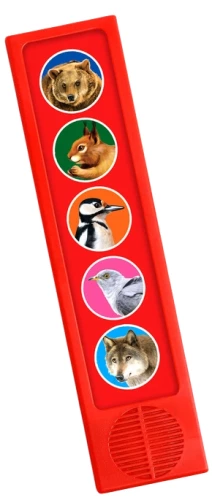 Musikalisches Entwicklungsspielzeug - Geräusche des Waldes