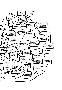 The Shape of Reality. The Hidden Geometry of Strategy, Information, Society, Biology, and Everything Else