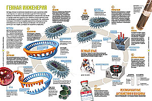 Cilvēka ķermeņa noslēpumi. Liela ilustrēta enciklopēdija