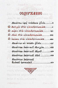 Heilige Evangelium russische und kirchenslawische Schrift (2 Bücher)